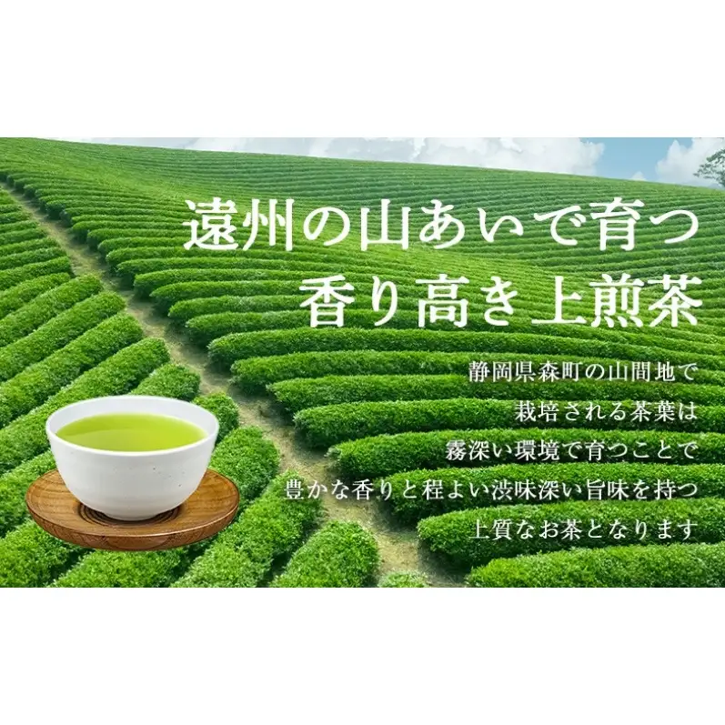 森の茶上煎茶 かおり 100g×2袋 煎茶 緑茶 茶葉 静岡県 森町 【配送不可：離島】