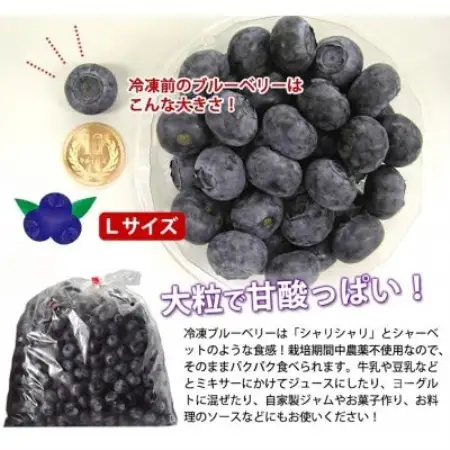 遠野で育った 大粒 冷凍 ブルーベリー Lサイズ 1kg【配送不可地域：離島】【1333274】