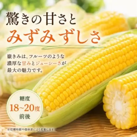 とうもろこし 朝採り 嶽きみ(だけきみ) 10本 L～2Lサイズ 冷蔵【配送不可地域：離島・沖縄県・九州】【1757166】