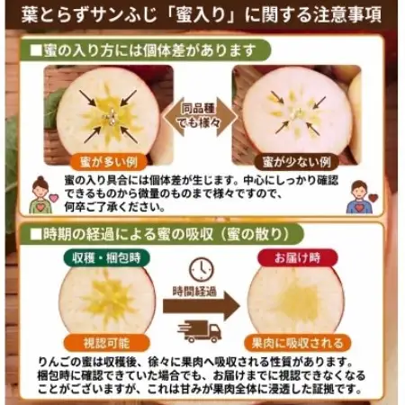 11-12月 蜜入り時期に厳選発送! 青森県産 りんご 訳あり 葉とらずサンふじ 家庭用 約10kg【配送不可地域：沖縄県】【1757319】