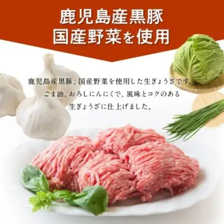 鹿児島黒豚餃子12P(計144個)【配送不可地域：離島】【1728765】