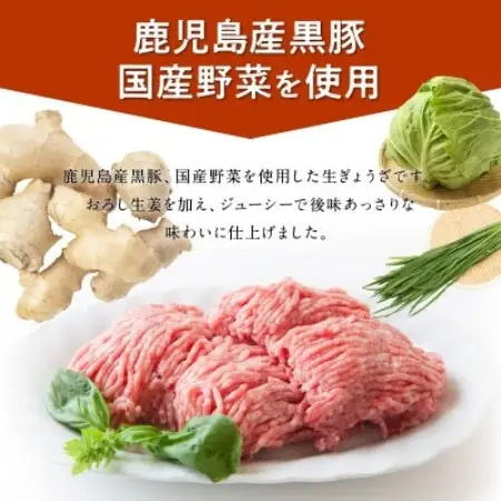 鹿児島黒豚餃子生姜風味12P(計144個)【配送不可地域：離島】【1728768】