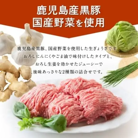鹿児島黒豚餃子2種類12P(計144個)【配送不可地域：離島】【1728770】