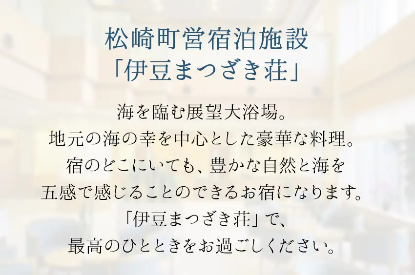 伊豆まつざき荘 宿泊補助券 B 　料理 海 オーシャンビュー 露天風呂 和室 洋室 海鮮 お刺身 静岡 伊豆 松崎