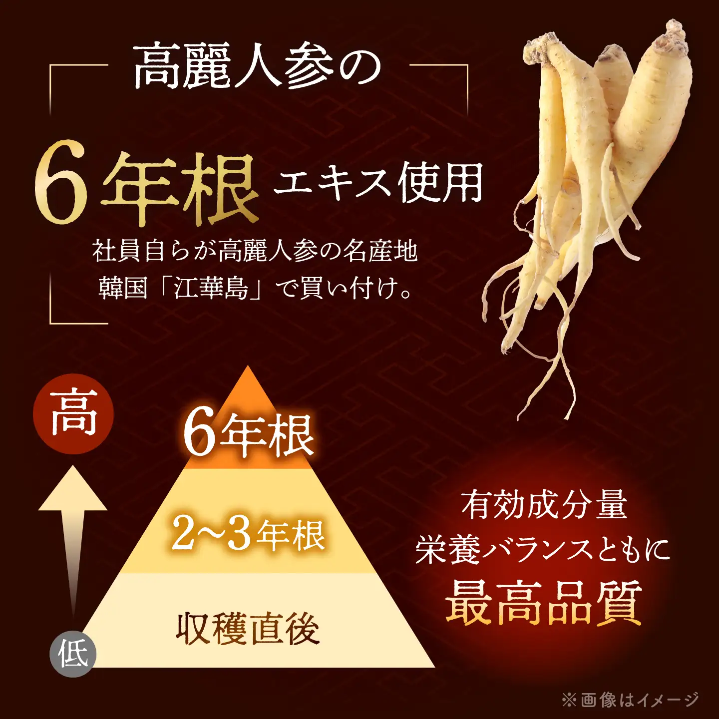 高麗人参エキス配合 サムゲタン（450g×4袋）桂川町/マルマツ産業株式会社[ADAE023]