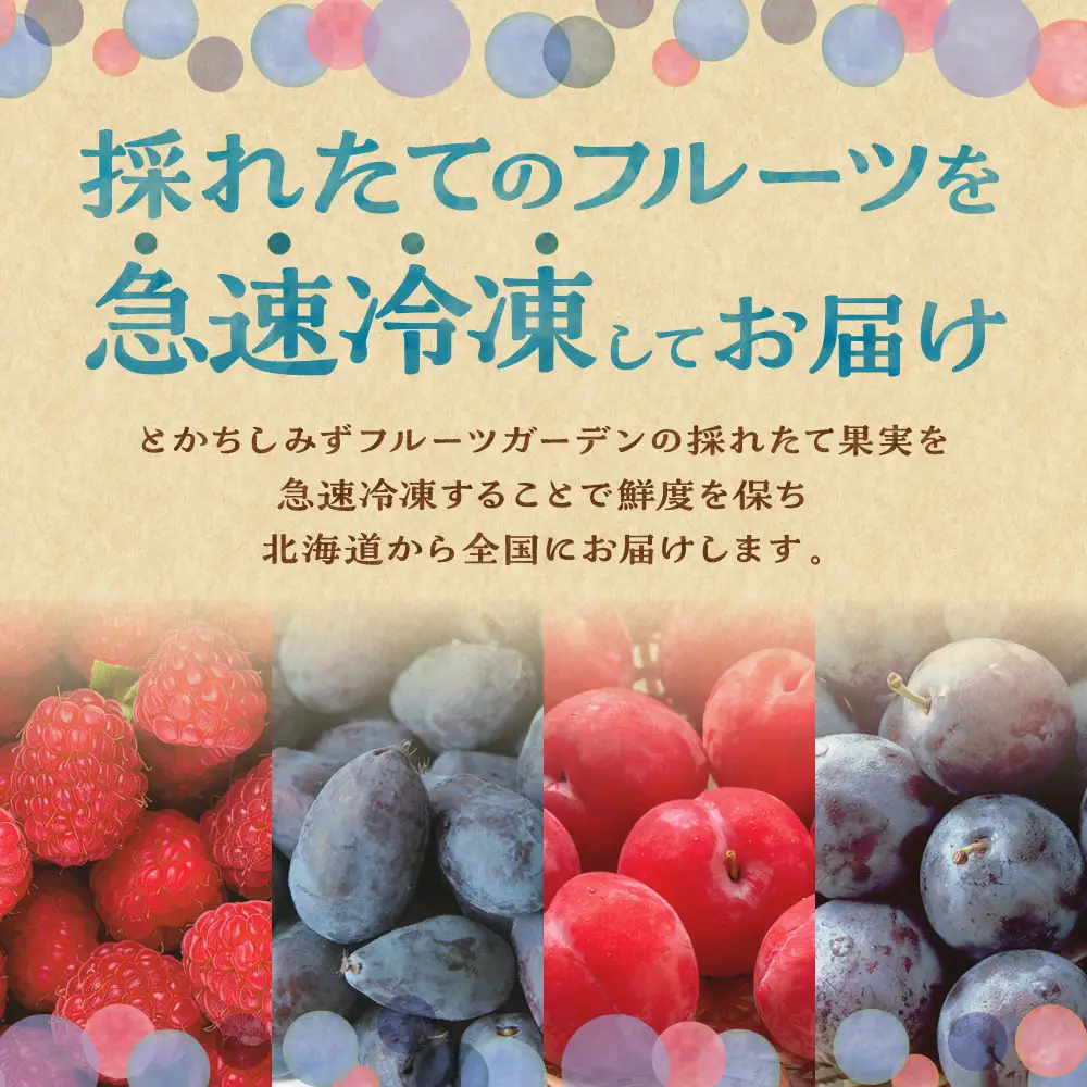 【2026年発送！】とかちしみずフルーツガーデンの冷凍プラム1.2kg 北海道産 プラム 産地直送 果物  冷凍フルーツ 北海道_S009-0019