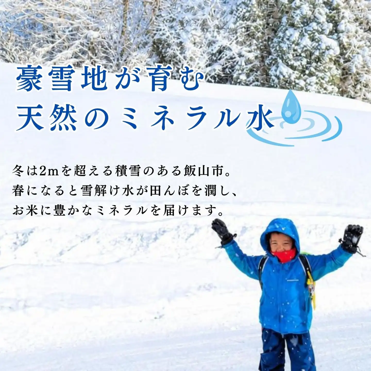 《2026年10月開始》【定期便5㎏×6回】にじのきらめき 精米 瑞穂 豊米 