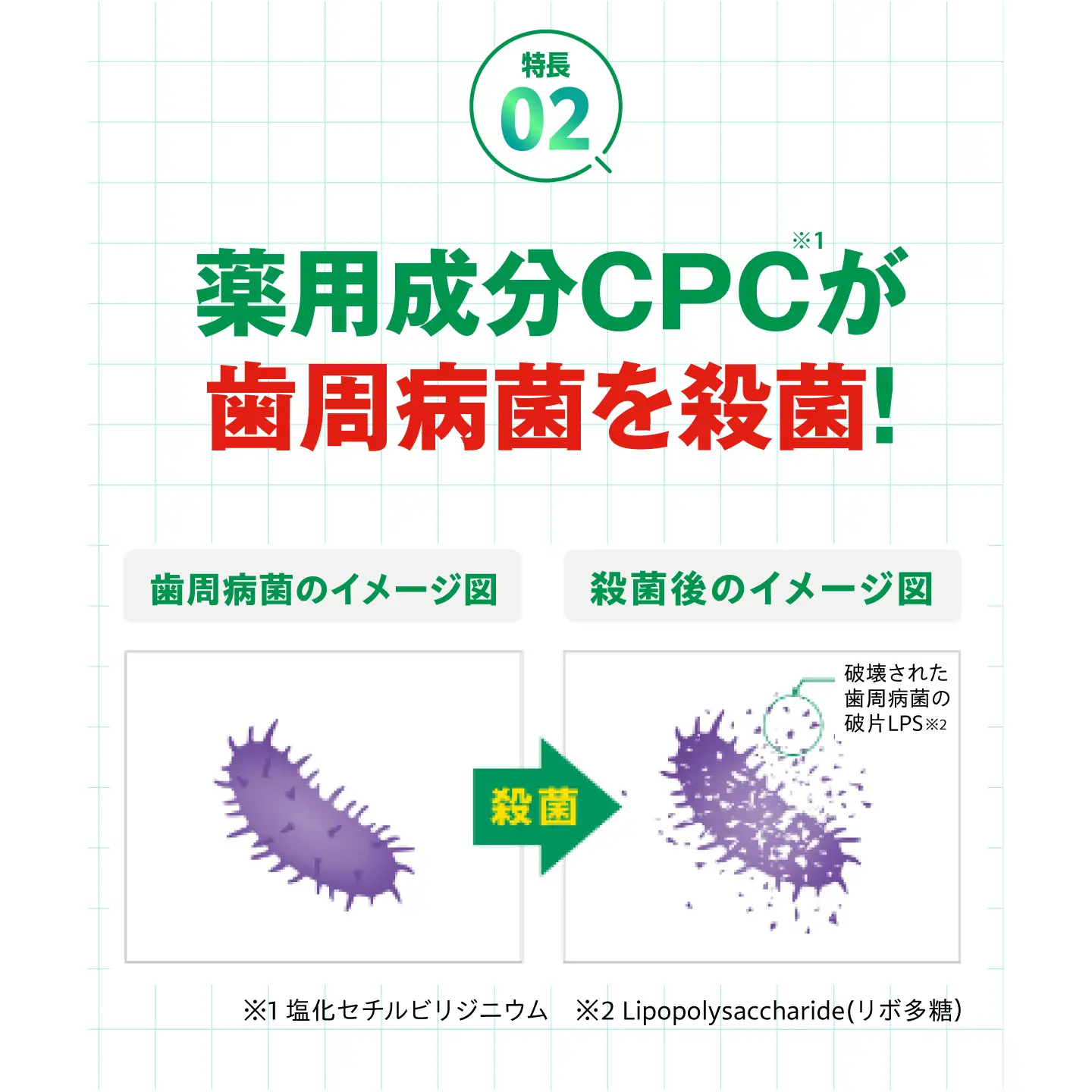 GUM デンタルペースト(ST) 120g×12本 大阪府高槻市/サンスター[AOAD079]