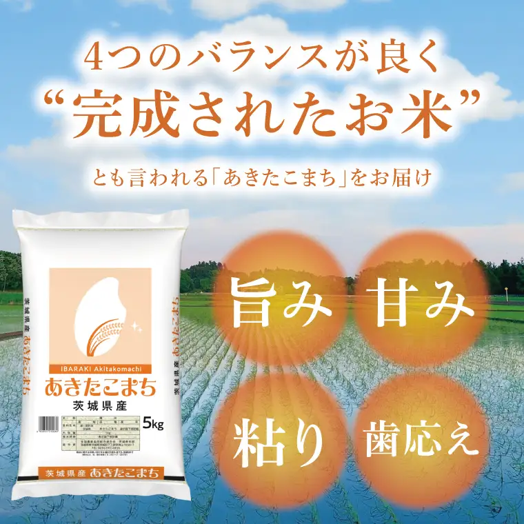 【茨城県共通返礼品】令和7年茨城県産 あきたこまち20kg（5kg×4袋）【お米 米 白米 ごはん ご飯 茨城県】（03-72）