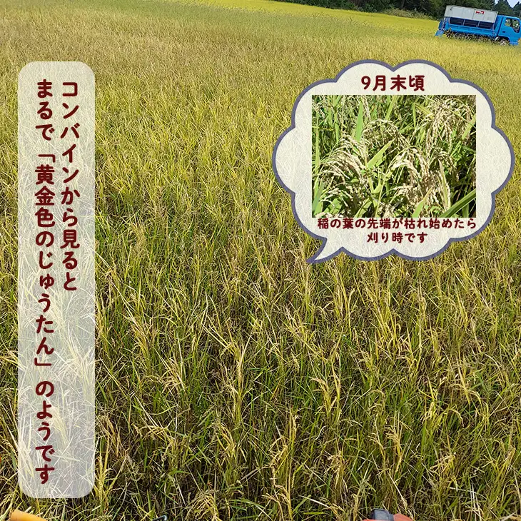 【12ヶ月定期便】銀河のしずく 厳選プレミアム 極（kiwami) 5kg　【2526】