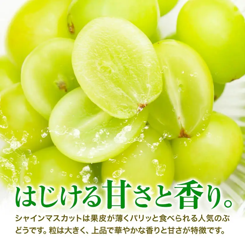 訳あり フルーツ王国 岡山県産 シャインマスカット 化粧箱入り 2kg 3房～4房前後
