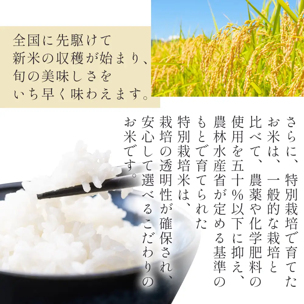 【6回定期便】令和8年産 高知県香南市産 特別栽培米 コシヒカリ 10kg - 国産 米 お米 こしひかり 白米 どうぞ ごはん おにぎり ご飯 防災 非常食 備蓄 kome 高知県 香南市 常温 Wnu-0016