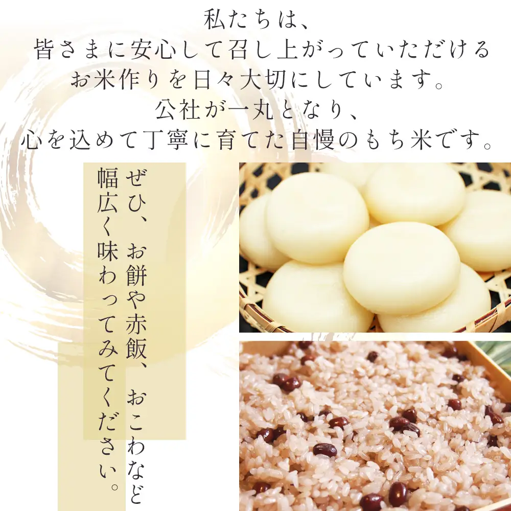 もち米 ５kg 【もち米】 特別栽培米 nu-0018