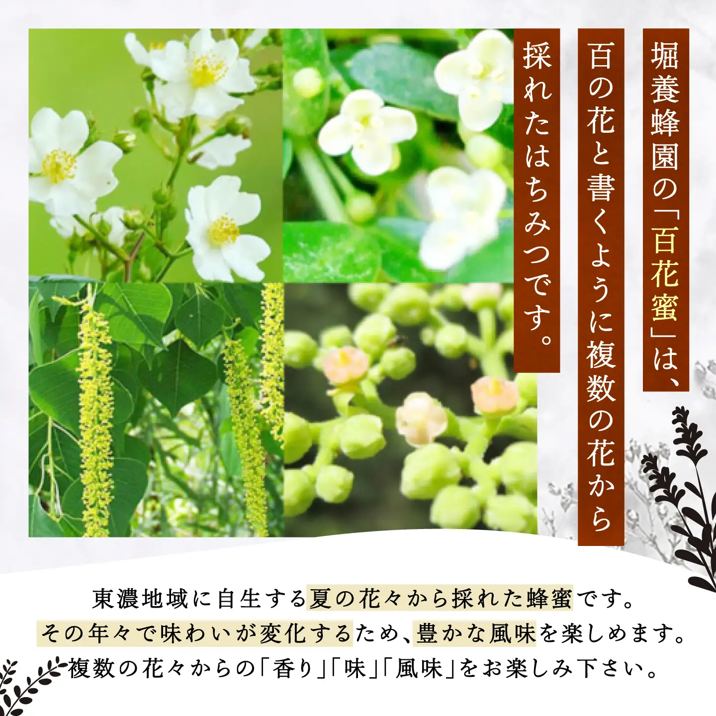 野山のはちみつ 百花蜂蜜 300g / 恵那市 / 堀養蜂園[AUCO009] はちみつ