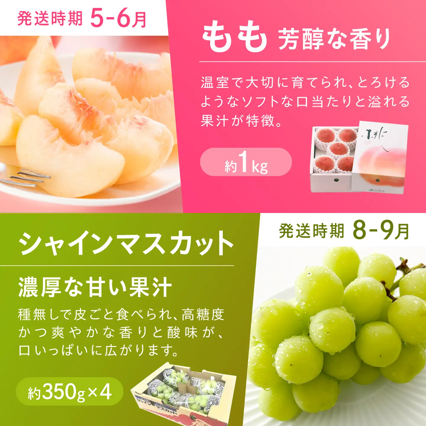 【6回定期便】フルーツ定期便（あまおう/びわ/桃/シャインマスカット/柿/キウイ） 広川町 / JAふくおか八女農産物直売所どろや[AFAB118]