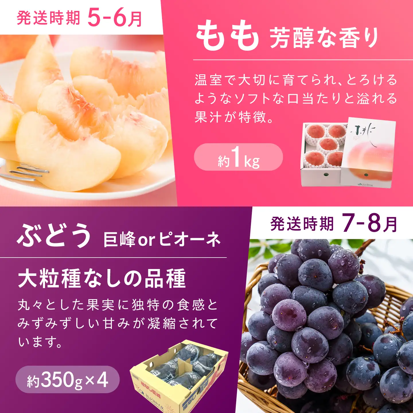 【6回定期便】フルーツ定期便（あまおう/びわ/桃/ぶどう/シャインマスカット/キウイ） 広川町 / JAふくおか八女農産物直売所どろや[AFAB119]