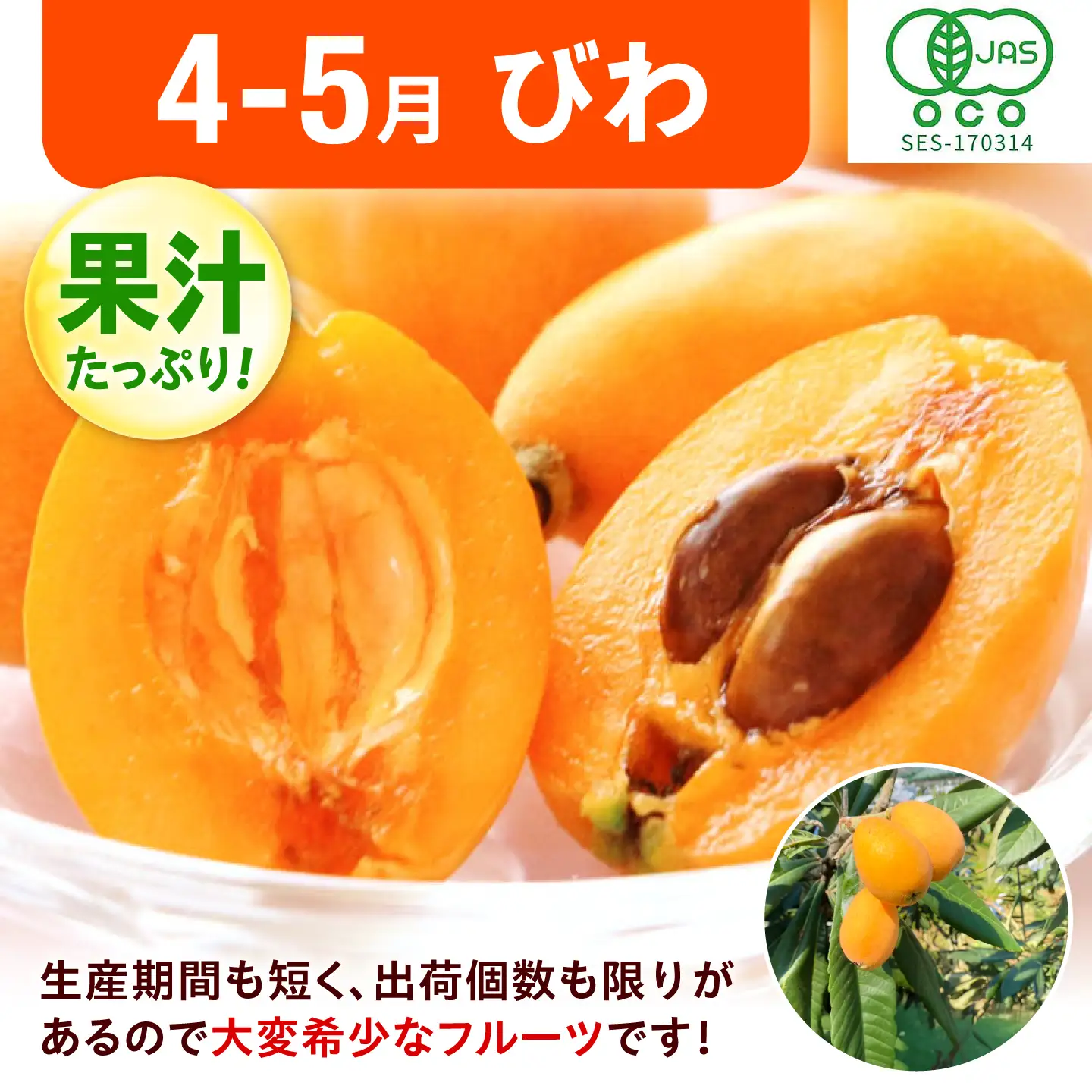 【3回定期便】フルーツ定期便（びわ/桃/ぶどう） 広川町 / JAふくおか八女農産物直売所どろや[AFAB125]
