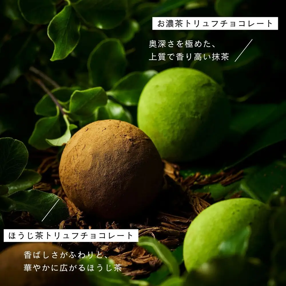 【TREEE’S】お濃茶・ほうじ茶トリュフチョコレート 各3個｜京都 スイーツ ブランド レビュー高評価 人気 抹茶スイーツ