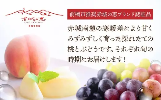 【ふるなび限定】フルーツ 食べ比べ 4kg 桃 ぶどう 定期便 フルーツ FN-Limited-WE