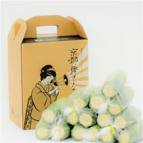【ロックファーム京都】しこみちゃん 京都舞コーンのB級品(ホワイトコーン)　白いトウモロコシ【配送不可地域：離島・北海道・沖縄県・東北】【1757004】