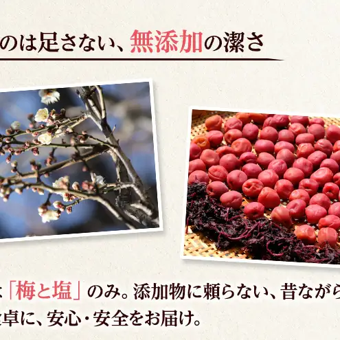 大河原産 昔ながらのすっぱいしそ梅干し 270g 20個セット ご飯のお供に 梅干し 梅干 うめぼし ウメボシ 梅 ごはんのお供 ご飯のお供 おにぎり 弁当 お弁当