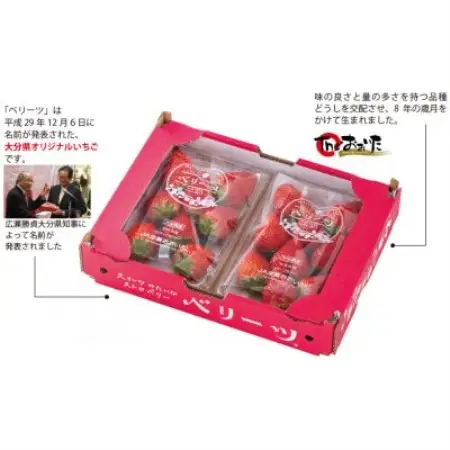 ベリーツ　(270g×2P)(日出町)【配送不可地域：離島・北海道・沖縄県・東北・関東・信越、北陸・東海・中国・四国】【1753861】
