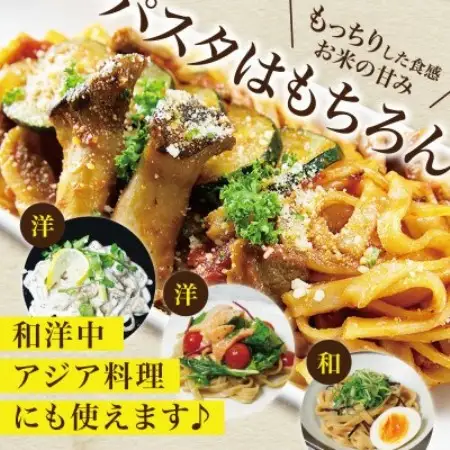 【毎月定期便】グルテンフリー玄米パスタ9食(宮城県産)小麦粉不使用の無添加玄米麺 米粉麺全3回【4086080】