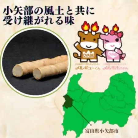(株)スギタニ　棒麩　42g入り×20袋【1738756】