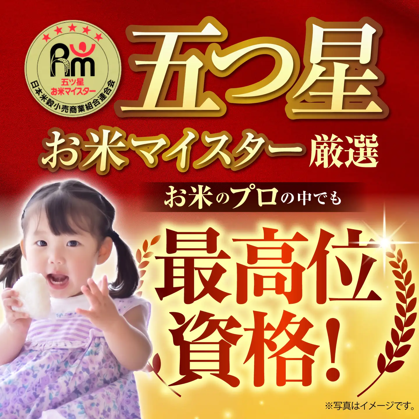 【全6回定期便】 白米 食べ比べ さがびより・夢しずく 各回20kg（各5kg×2袋）【五つ星お米マイスター厳選】特A米 特A評価[HBL150]