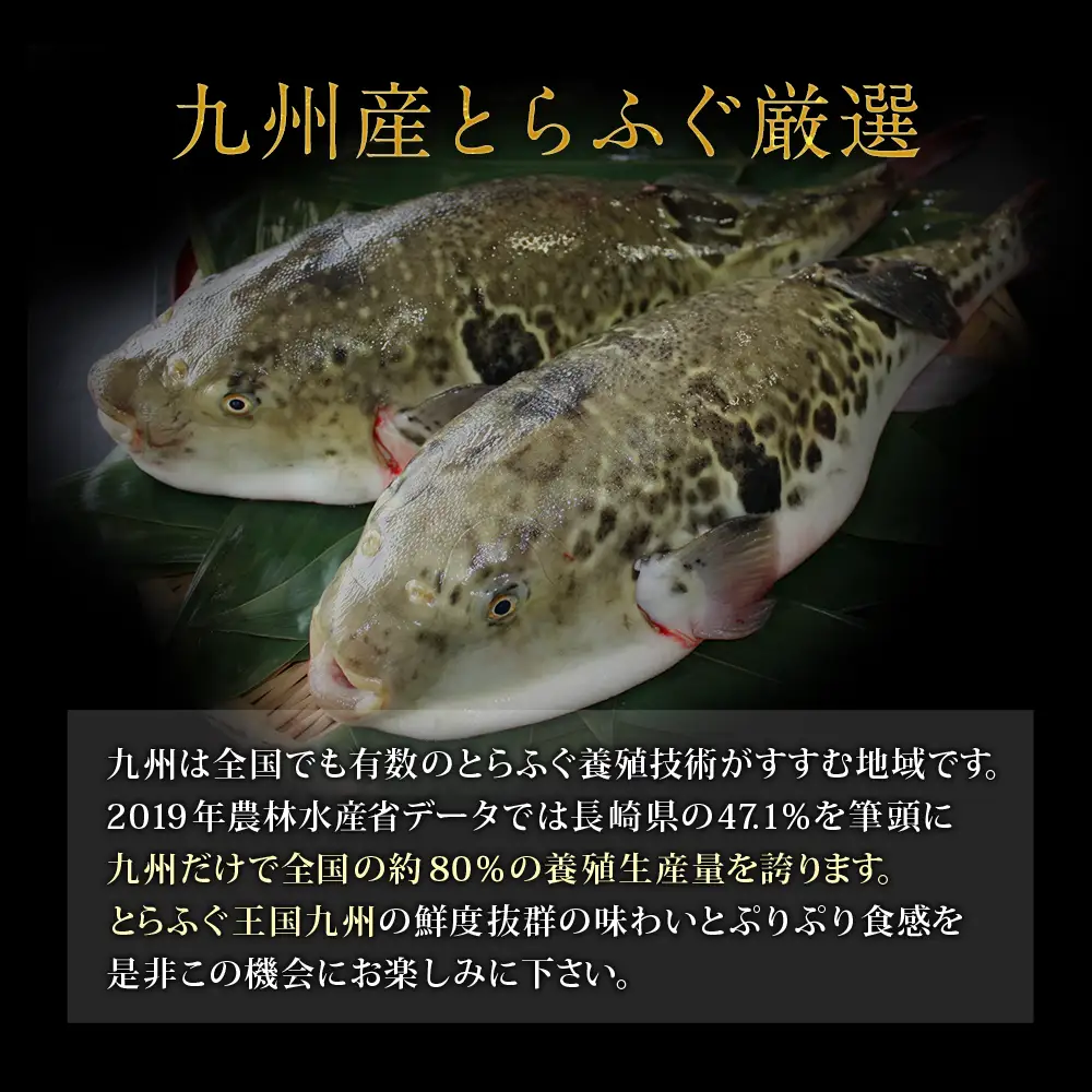 Z61-64 本場とらふぐ刺し・ふぐ鍋セット（8～10人前）ふぐ皮刺し ポン酢・薬味付