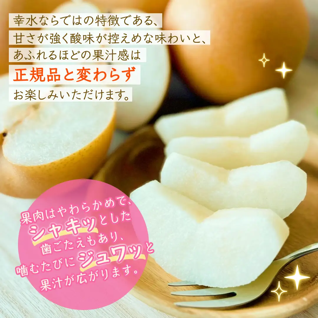 ＜ 訳あり ＞ 幸水 約5kg 【2026年8月より発送開始】（茨城県共通返礼品 [梨]：大子町産）