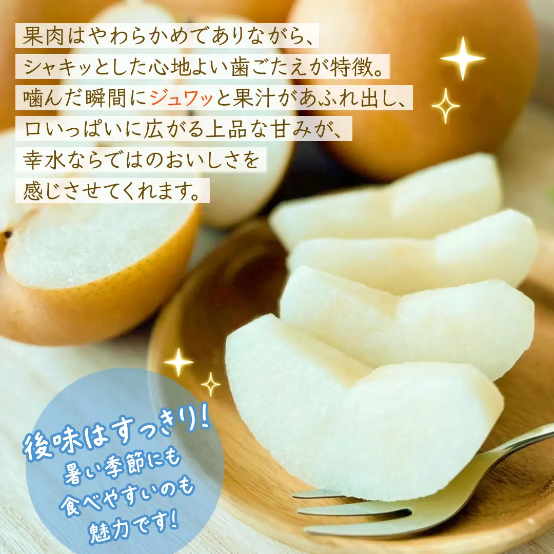 幸水 約5kg【2026年8月より発送開始】（茨城県共通返礼品 [梨]：大子町産）
