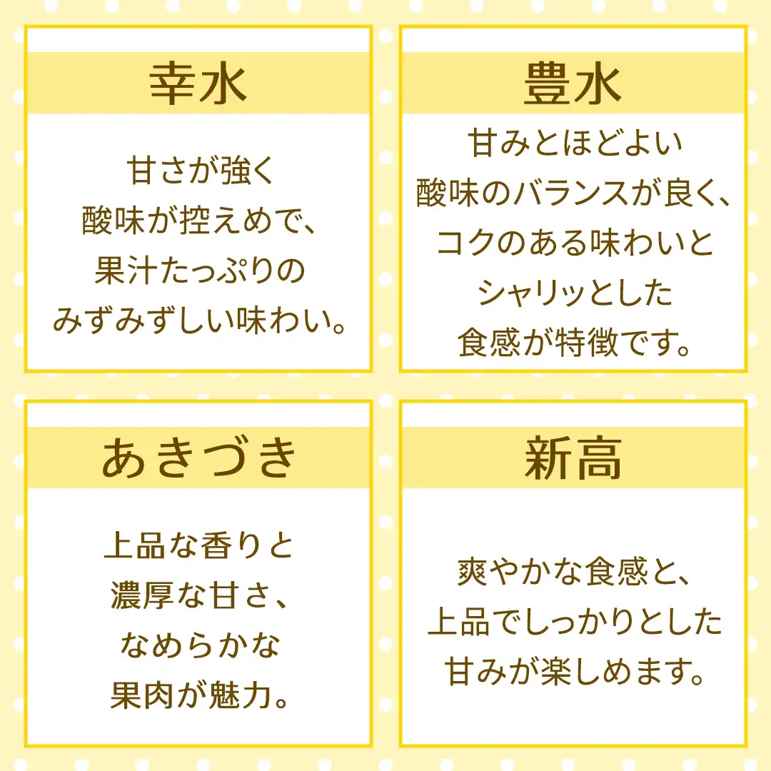【定期便】3か月連続でお届け！ 旬の梨 おまかせ 約3kg（茨城県共通返礼品 [梨]：大子町産）