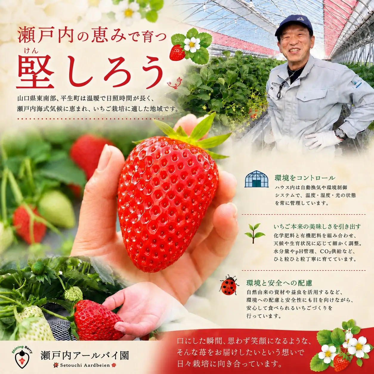 【令和8年度 先行予約】【年明け発送】堅しろう（けんしろう）480g【240g×2パック】