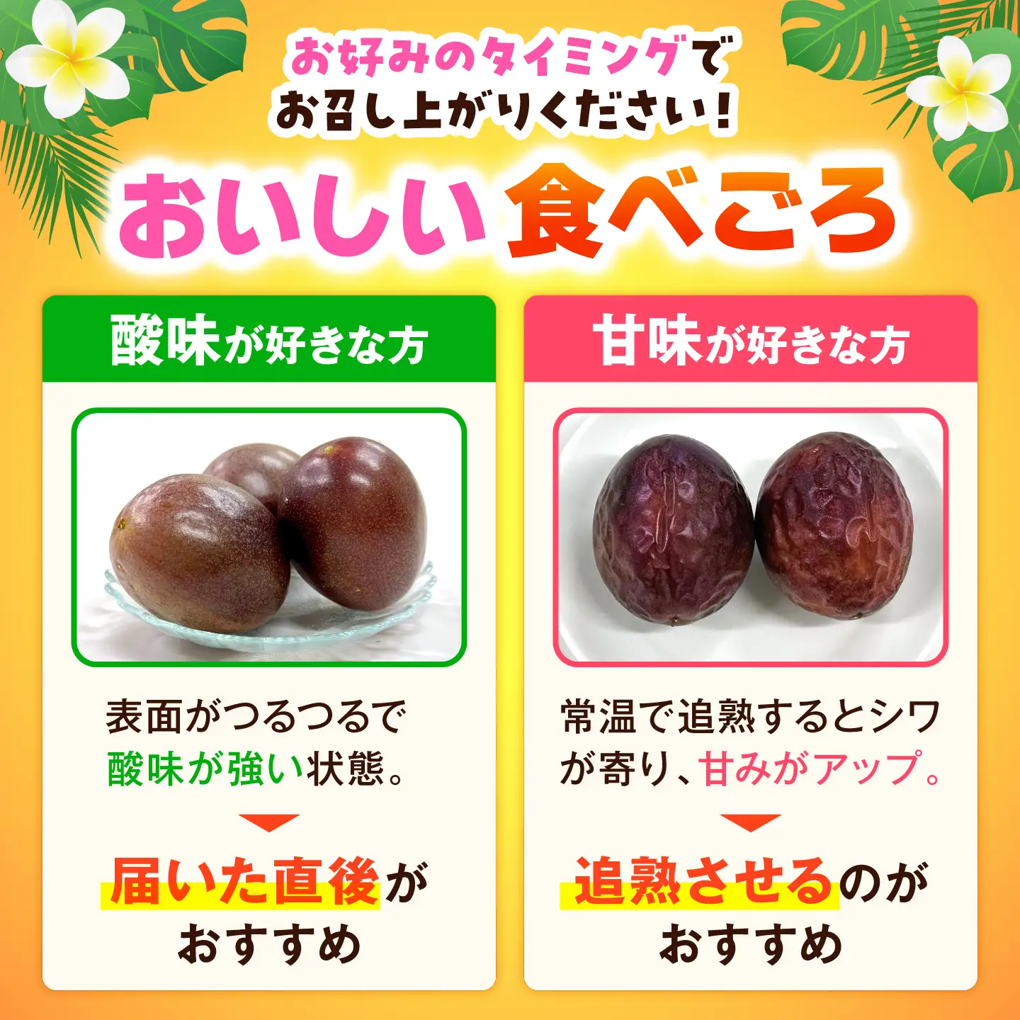 【2027年発送】【先行予約】 沖縄県産パッションフルーツ (1kg箱入り)／南国フルーツ 国産 果物 ギフト 産地直送 お取り寄せ 沖縄産 沖縄市 / ちゃんぷる～市場[BCAA009]