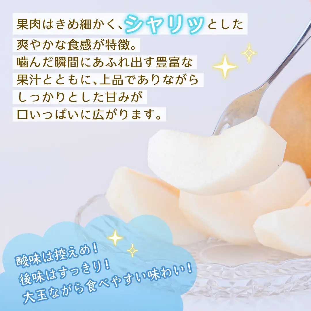 新高 約3kg 【2026年10月より発送開始】（茨城県共通返礼品 [梨]：大子町産）