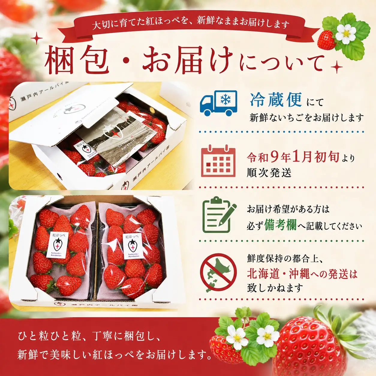 【令和8年度 先行予約】【年明け発送】紅ほっぺ480g【240g×2パック】