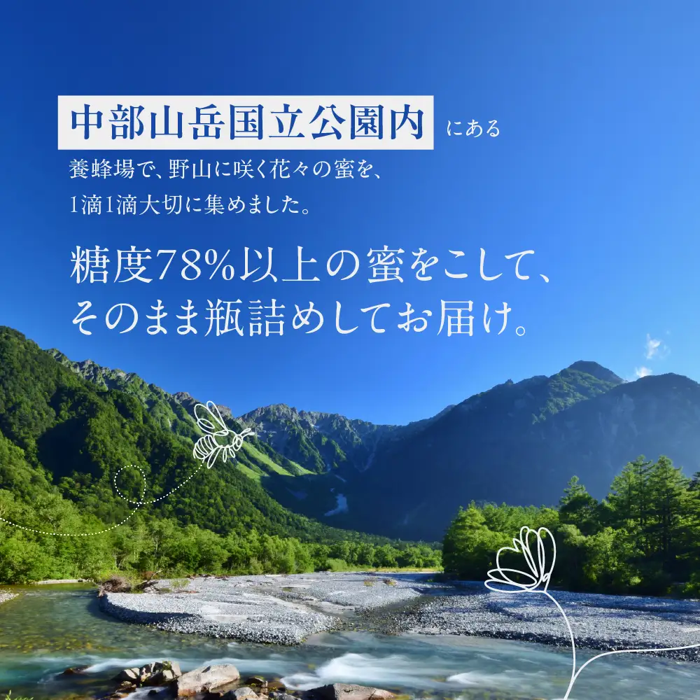 純粋はちみつ　奥飛騨の百花　90g×2パック | はちみつ 非加熱 はちみつ TG003