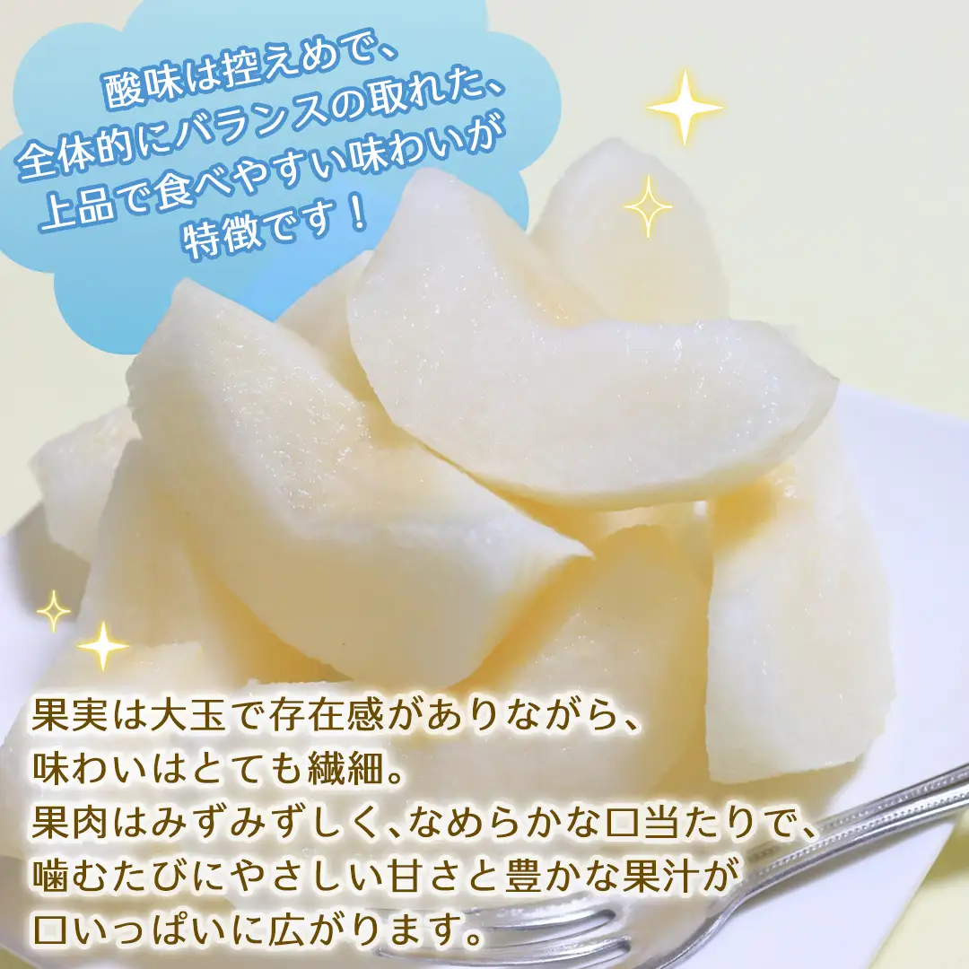 かおり 約3kg 【2026年9月より発送開始】（茨城県共通返礼品 [梨]：大子町産）
