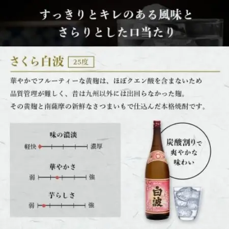 【毎月定期便】【さくら白波】25度 1800ml×6パックセット　SE359BX05全5回【配送不可地域：離島】【4088162】