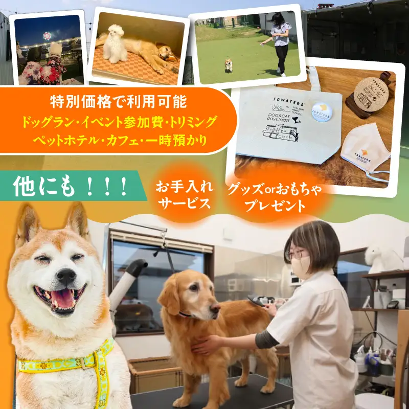 【TOWATERAメンバーズ】ドッグラン、ペットホテルなどをお得に利用できる「トワるん」会員入会＋ドッグラン使い放題【2頭】｜ペット 常滑市
