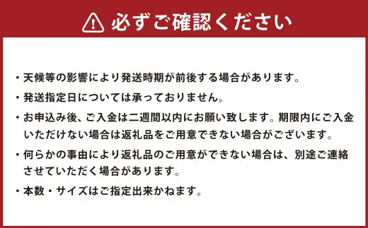 北海道生ヤーコン 6kg 【2026年10月上旬より順次発送予定】