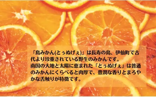 島みかんとぅぬげぇジュース　3本セット
