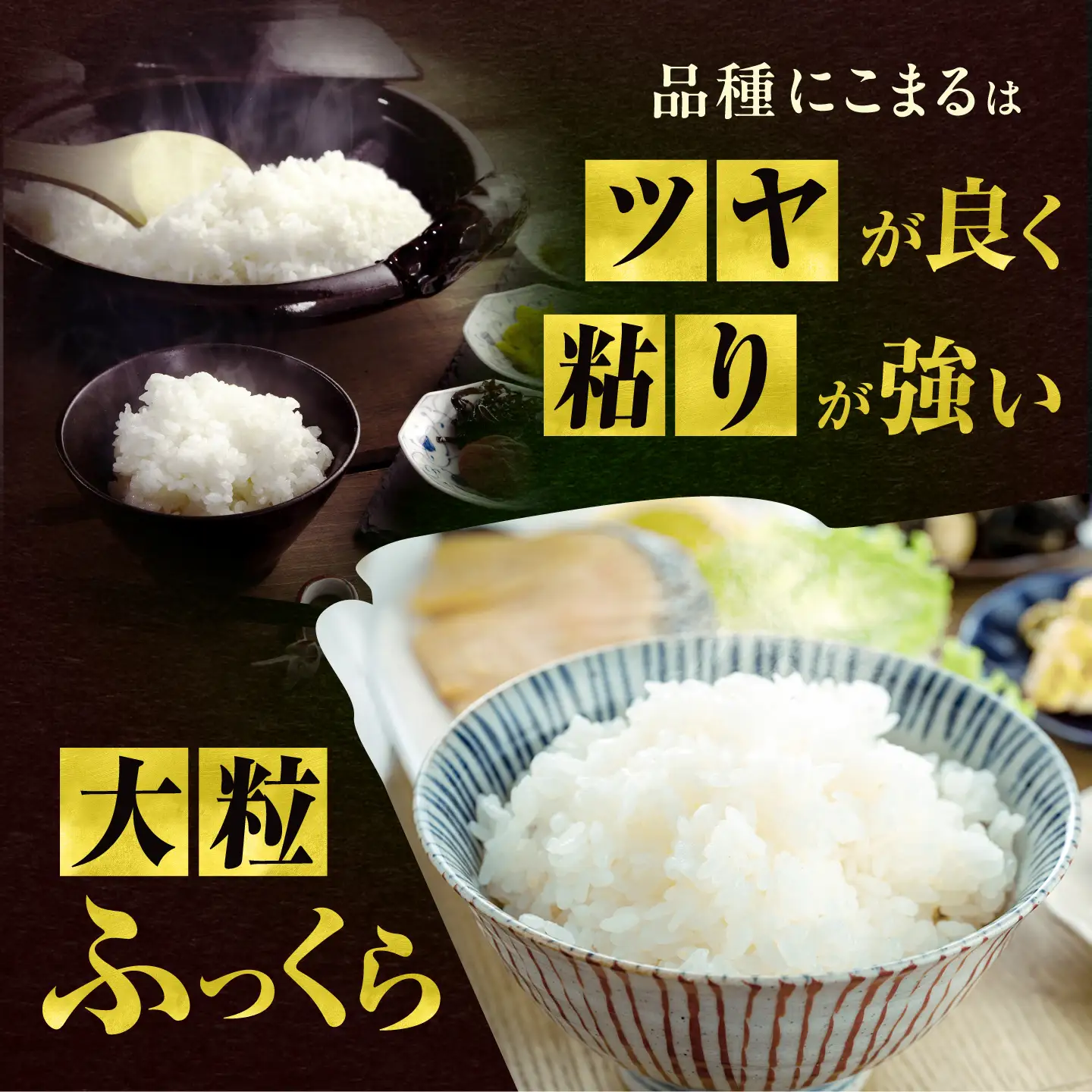 【6回定期便】 一等純米 にこまる 5kg / 米 お米 精米 白米 一等米 愛知県産 国産米 / 稲沢市 / 有限会社ハシモト耕販[BMBP006]