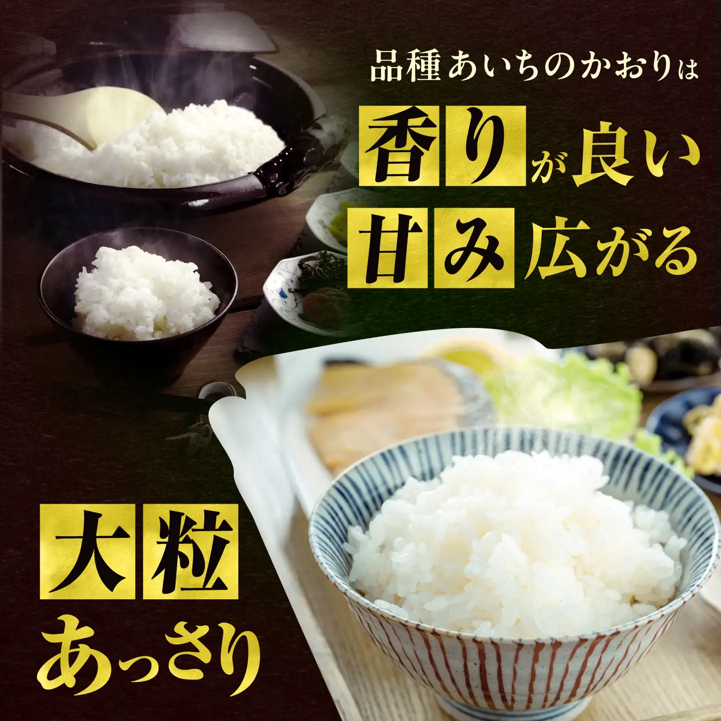 【3回定期便】 一等純米 あいちのかおり 5kg / 米 お米 精米 白米 一等米 愛知県産 国産米 / 稲沢市 / 有限会社ハシモト耕販[BMBP007]