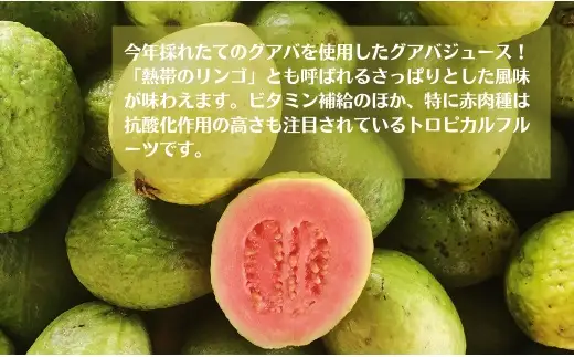 グァバ&島みかんジュース　3本セット