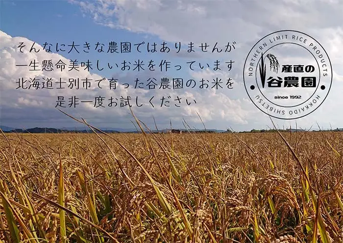＜4回定期便＞ ゆめぴりか 20kg 令和8年産 先行予約 2026年11月以降順次発送 白米 【産直の谷農園】F7048-2611