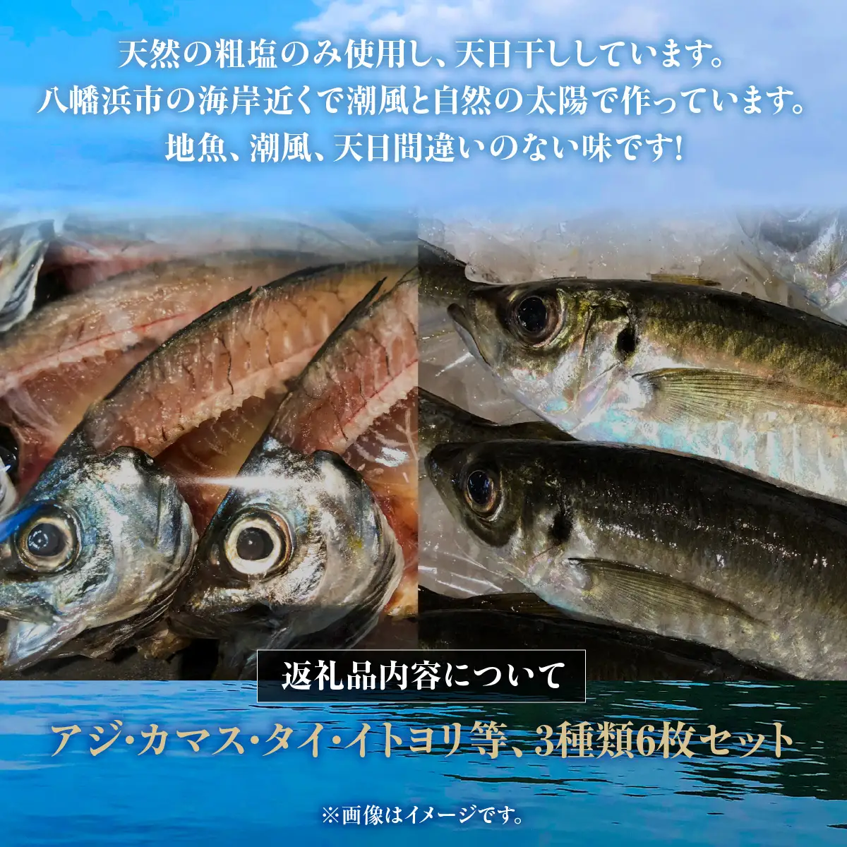 八幡浜発！竹中水産の地物の干物６枚セット（大サイズ）【22-295】YWTM109