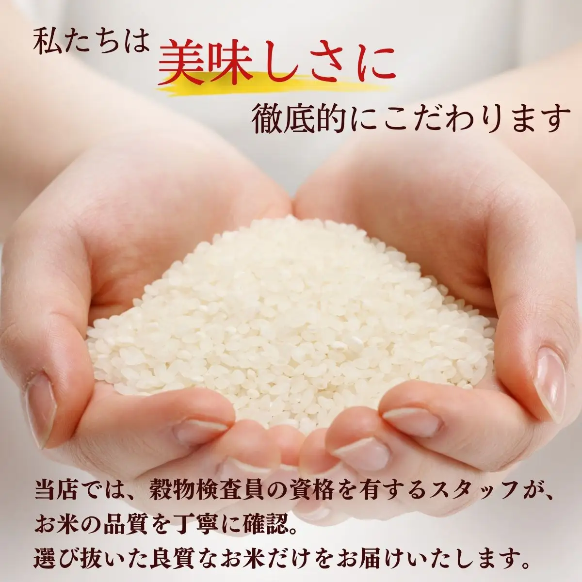 【令和7年産】黄金銀香 飯山産 コシヒカリ 精米 10kg（10kg×1袋）