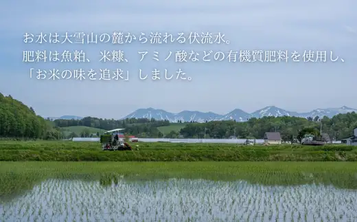 ≪令和7年産≫ ゆめぴりか 5kg 豊栄米 北海道 ゆめぴりか